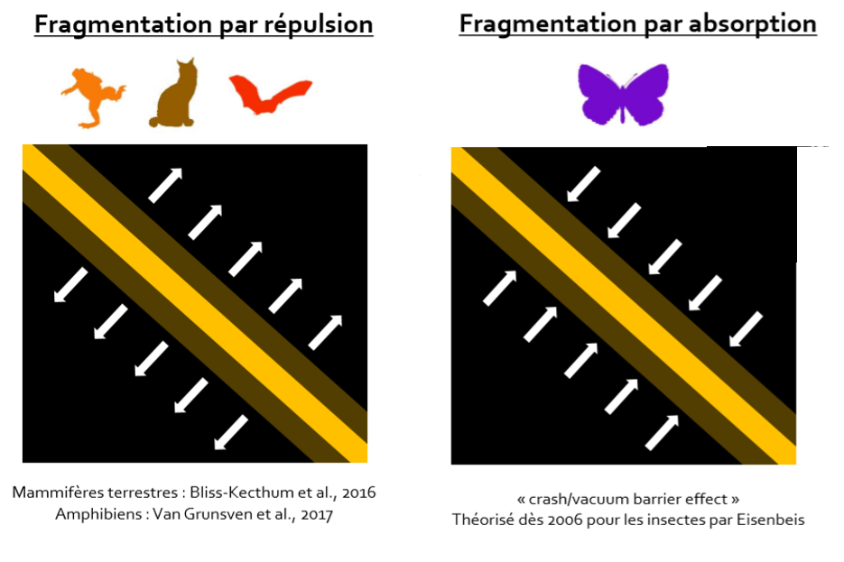 Schéma Fragmentation trame noire - Sordello