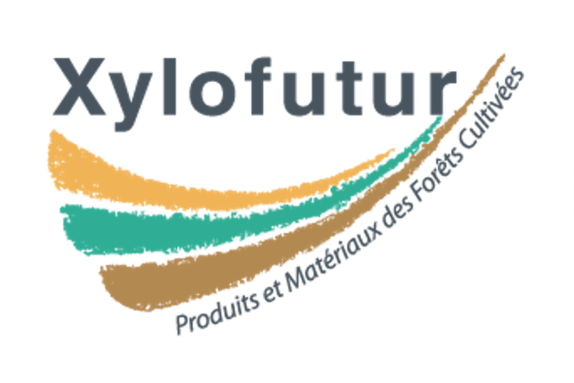 Logo Xylofutur Produits et matériaux des Forêts cultivées