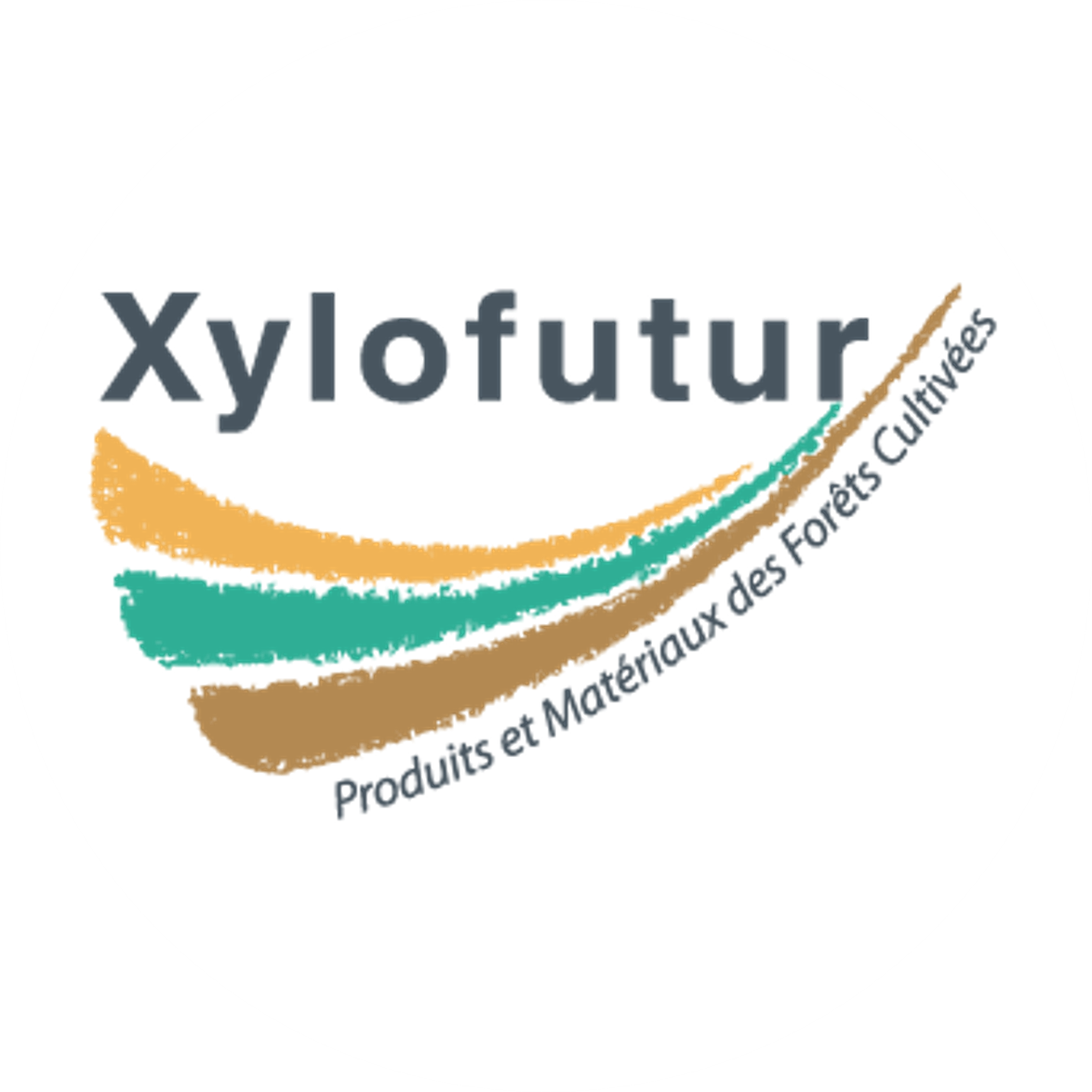 Logo Xylofutur Produits et matériaux des Forêts cultivées